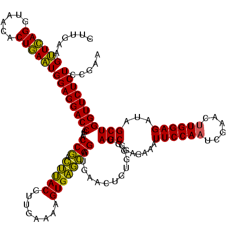 secondary structure