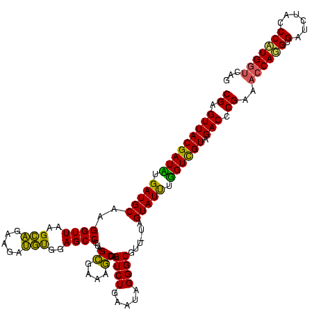 secondary structure