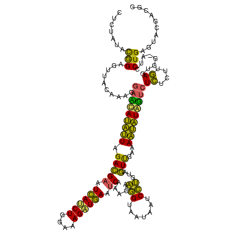 secondary structure