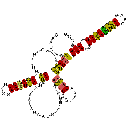 secondary structure