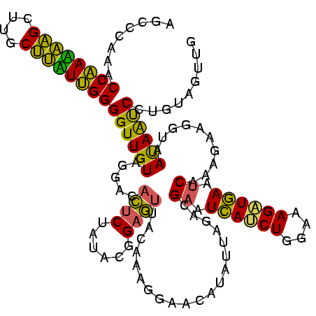 secondary structure