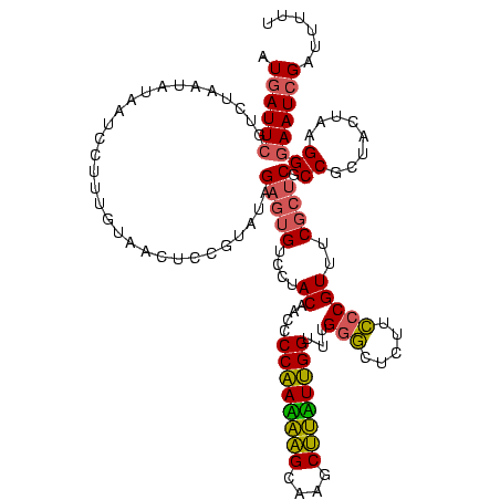 secondary structure