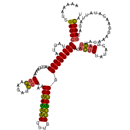 secondary structure