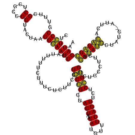 secondary structure