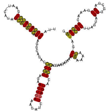 secondary structure