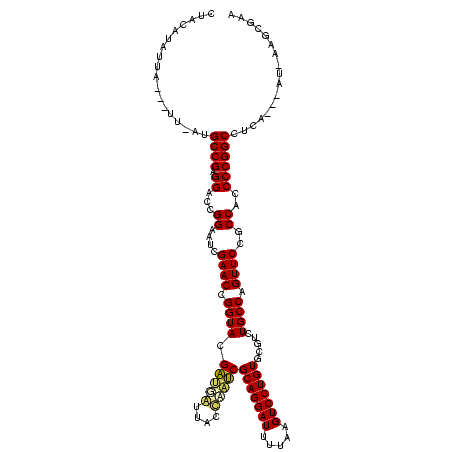 secondary structure