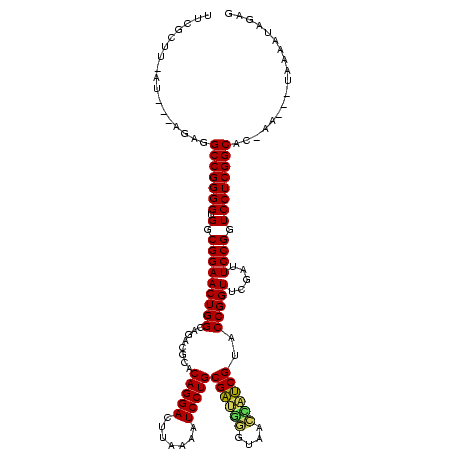 secondary structure