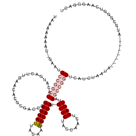 secondary structure