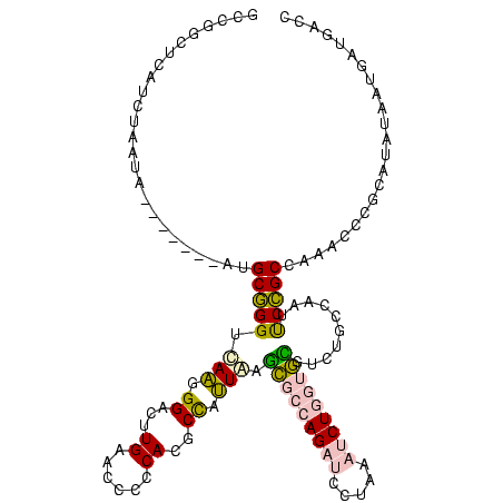 secondary structure