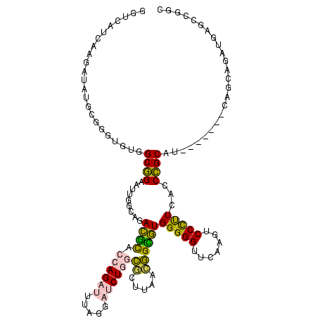 secondary structure