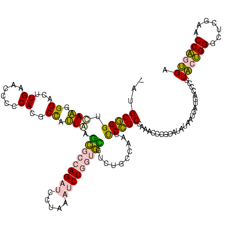 secondary structure