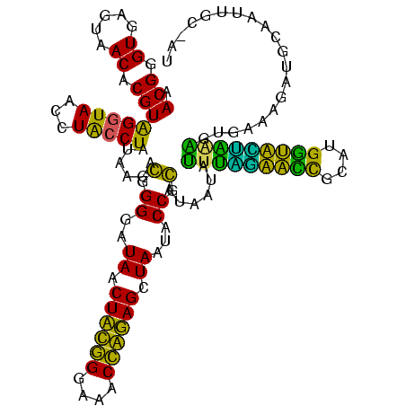 secondary structure