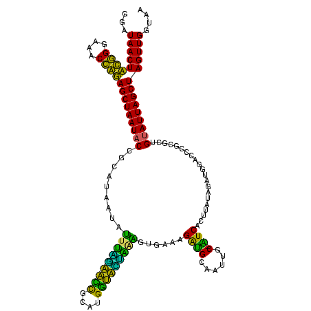 secondary structure