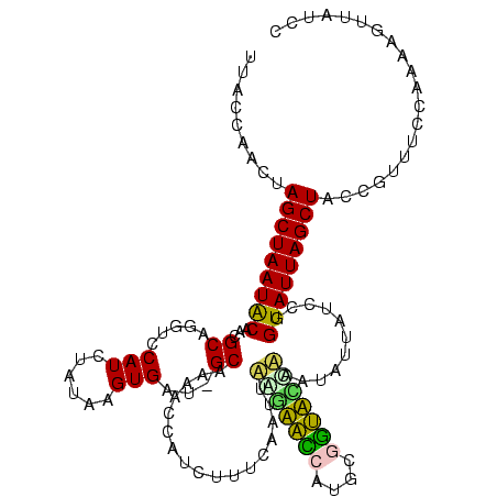 secondary structure