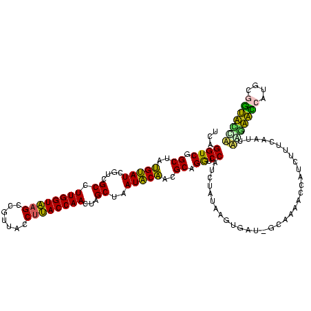 secondary structure