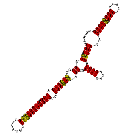 secondary structure