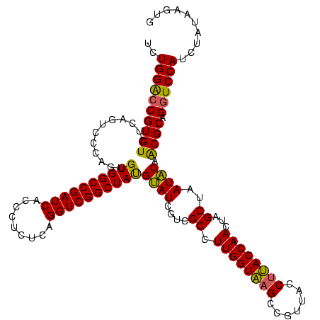 secondary structure