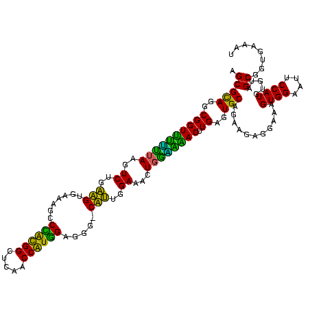 secondary structure