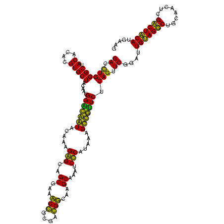secondary structure