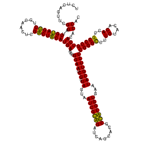secondary structure