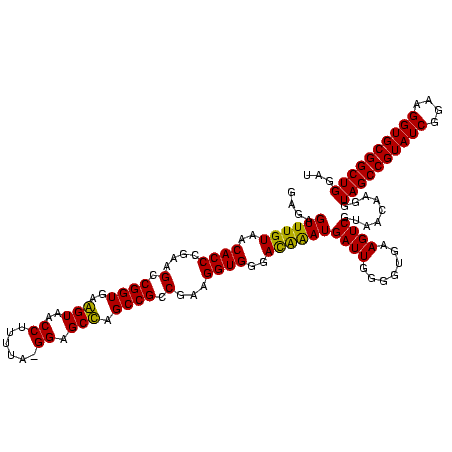 secondary structure