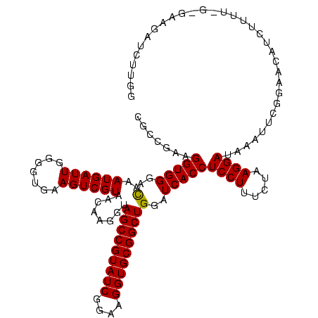 secondary structure