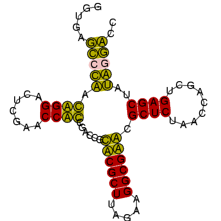 secondary structure