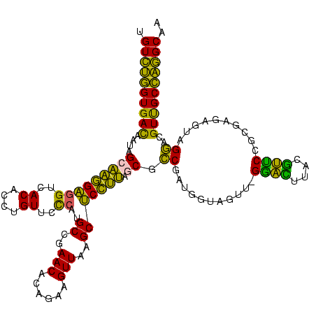 secondary structure