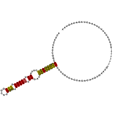 secondary structure