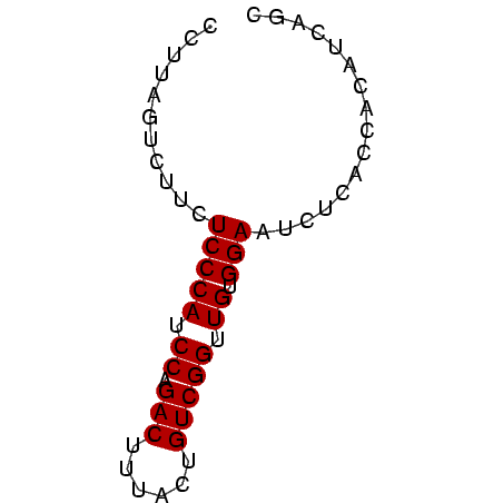 secondary structure