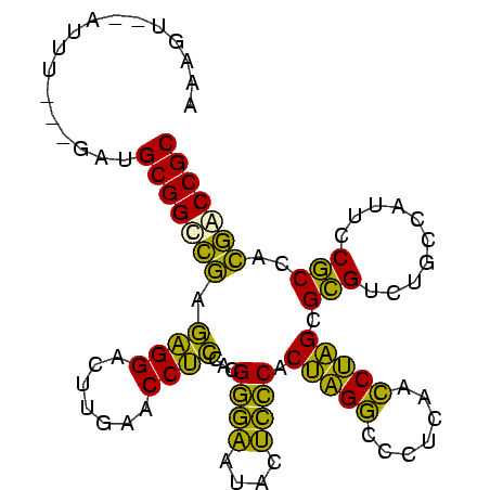 secondary structure