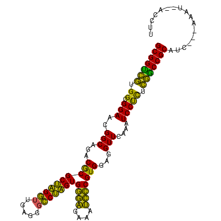 secondary structure