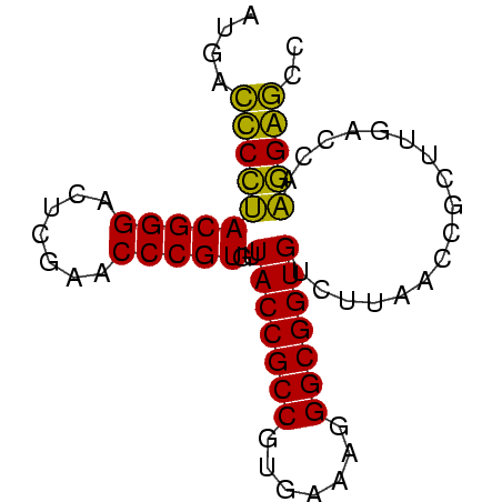 secondary structure