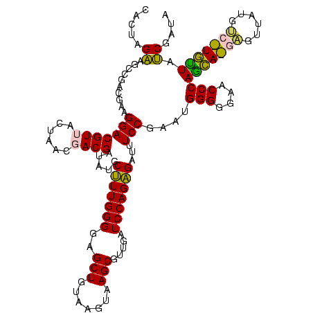 secondary structure