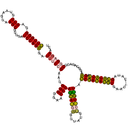 secondary structure