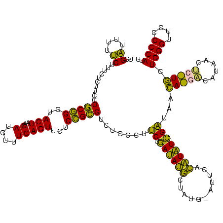secondary structure