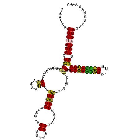 secondary structure