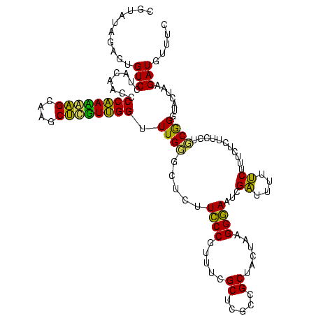 secondary structure