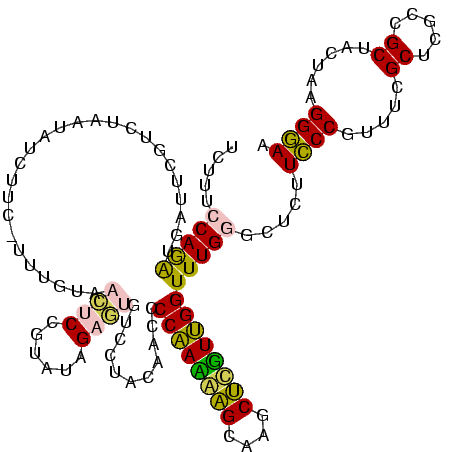 secondary structure