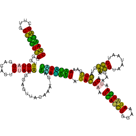 secondary structure