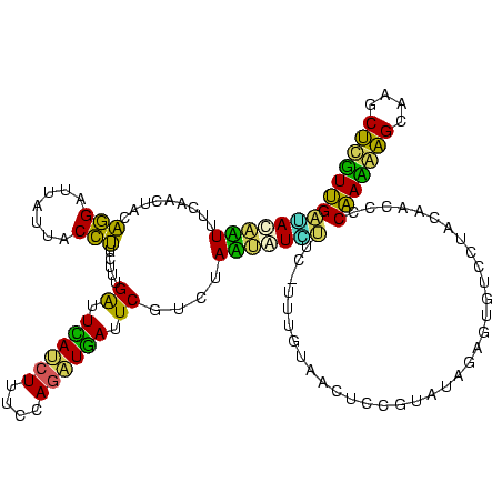 secondary structure