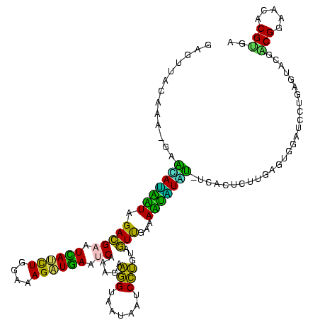 secondary structure