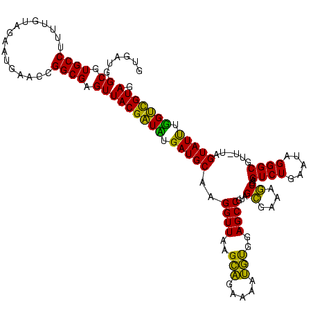 secondary structure