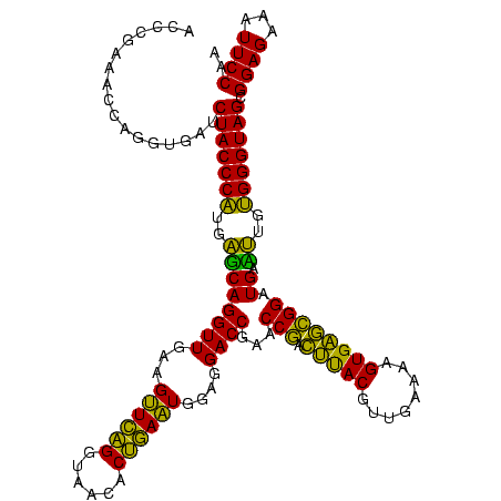 secondary structure