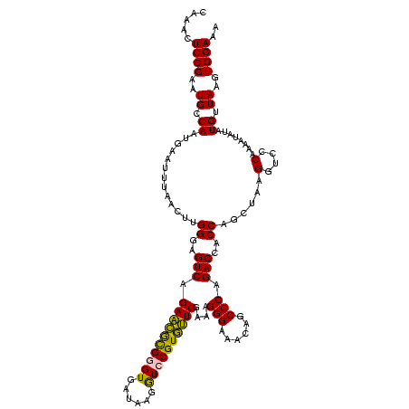 secondary structure