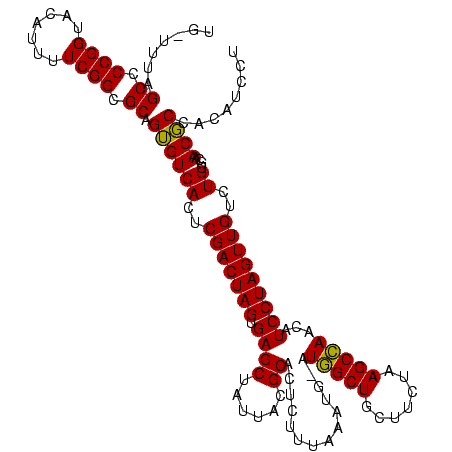 secondary structure