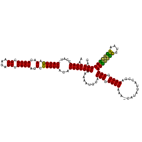 secondary structure