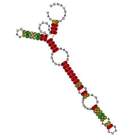 secondary structure