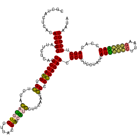 secondary structure