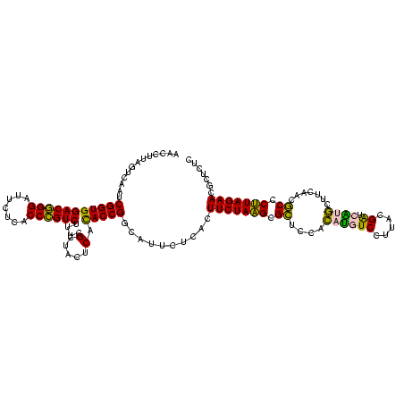 secondary structure